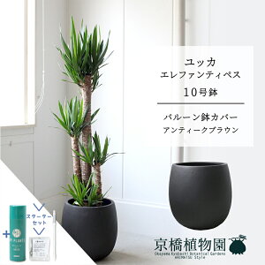 yX^[^[Zbgtzyo[Jo[t/AeB[NuEzbJEGt@eByX10y󂯎Mtzy[WTCYz yTXeB[/SUSTEE/[tN/IB̃`Jz