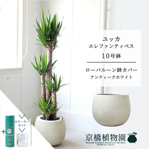 y1P7{IzyX^[^[Zbgtzy[o[Jo[/AeB[NzCgzbJEGt@eByX10y󂯎MtzyN̖؁zy[WTCYz yTXeB[/SUSTEE/