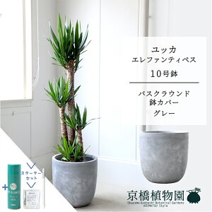 yX^[^[ZbgtzyoXNEhJo[/O[zbJEGt@eByX10y󂯎MtzyN̖؁zy[WTCYz yTXeB[/SUSTEE/[tN/IB̃`Jz