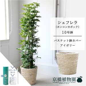 y25P5{IzyX^[^[ZbgtzyoXPbgJo[FAC{[zVFt@O[@10yzRJ|bNzyhtJmLzy[WTCY/u/j/Vzj/