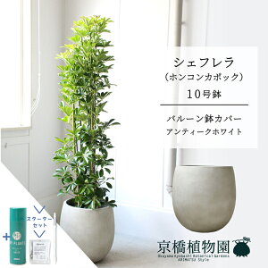 y25P5{IzyX^[^[Zbgtzyo[Jo[FAeB[NzCgzVFt@O[@10yzRJ|bNzyhtJmLzy[WTCY/u/j/V