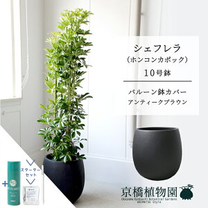 y25P5{IzyX^[^[Zbgtzyo[Jo[FAeB[NuEzVFt@O[@10yzRJ|bNzyhtJmLzy[WTCY/u/j/V