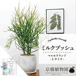 y}\N[|LzyX^[^[Zbgtzy}EhLTCYz~NubVy󂯎Mtzyȃ^zyX^CbVz