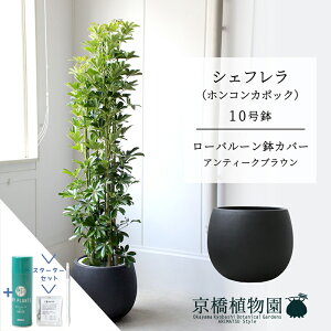 y25P5{IzyX^[^[Zbgtzy[o[Jo[/AeB[NuEzVFt@O[@10yzRJ|bNzyhtJmLzy[WTCY/u/j/