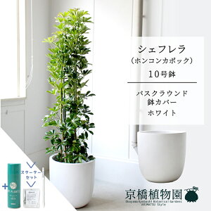 y25P5{IzyX^[^[ZbgtzyoXNEhJo[/zCgzVFt@O[@10yzRJ|bNzyhtJmLzy[WTCY/u/j/Vzj/