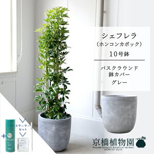 y25P5{IzyX^[^[ZbgtzyoXNEhJo[/O[zVFt@O[@10yzRJ|bNzyhtJmLzy[WTCY/u/j/Vzj/