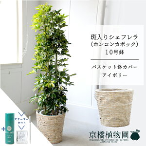 y1P7{IzyoXPbgJo[FAC{[zVFt@@10yzRJ|bNzyhtJmLzy[WTCY/u/j/Vzj/Ă₷/ϗtAzy^