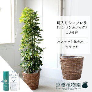 y25P5{IzyX^[^[ZbgtzyoXPbgJo[FuEzVFt@@10yzRJ|bNzyhtJmLzy[WTCY/u/j/Vzj/Ă