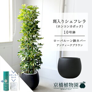 y25P5{IzyX^[^[Zbgtzy[o[Jo[/AeB[NuEzVFt@@10yzRJ|bNzyhtJmLzy[WTCY/u/j/V