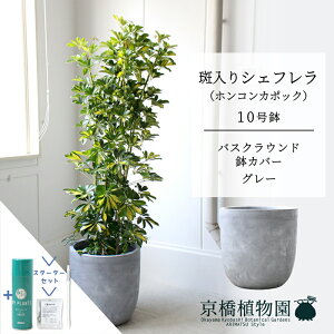 y25P5{IzyX^[^[ZbgtzyoXNEhJo[/O[zVFt@@10yzRJ|bNzyhtJmLzy[WTCY/u/j/Vzj/