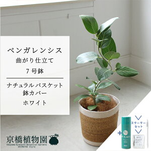 yX^[^[Zbgtzyi`oXPbgEzCgztBJXExKVX@I[h[@7y󂯎MtzyCeA/TXeB[/SUSTEE/[tN/IB̃`J/~hTC