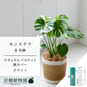 y5P5{IzySSN[|zyX^[^[Zbgtzyi`oXPbgEzCgzXe@8y󂯎Mtzy~hTCYz