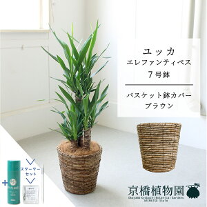 yX^[^[ZbgtzyN̖؁zbJEGt@eByX7yoXPbgJo[FuEzyTXeB[/SUSTEE/[tN/IB̃`J/~hTCY/CeA/j/JXj