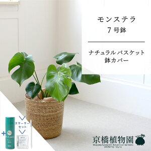 ySSizyX^[^[Zbgtzyi`oXPbgJo[zXe@7y󂯎MtzyTXeB[/SUSTEE/[tN/IB̃`J/~hTCY/CeA/j/JXj/