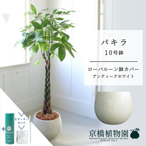 y1P7{IzyX^[^[Zbgtzy[o[Jo[/AeB[NzCgzpL@10y󂯎MtzyN̖؁zy[WTCYz yTXeB[/SUSTEE/[tN/IB̃`J