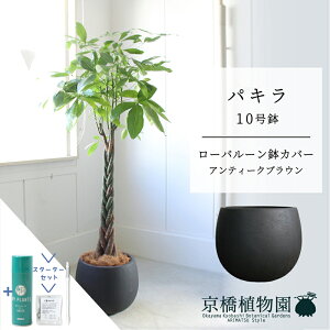 yX^[^[Zbgtzy[o[Jo[/AeB[NuEzpL@10y󂯎MtzyN̖؁zy[WTCYz yTXeB[/SUSTEE/[tN/IB̃`Jz