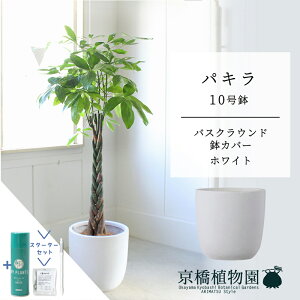 yX^[^[ZbgtzyoXNEhJo[/zCgzpL@10y󂯎MtzyN̖؁zy[WTCYz yTXeB[/SUSTEE/[tN/IB̃`Jz