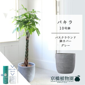 yX^[^[ZbgtzyoXNEhJo[/O[zpL@10y󂯎MtzyN̖؁zy[WTCYz yTXeB[/SUSTEE/[tN/IB̃`Jz