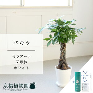 yX^[^[ZbgtzyZA[g^zCg@zpL@7y󂯎MtzyTXeB[/SUSTEE/[tN/IB̃`J/~hTCY ϗtA A CeA  lC j