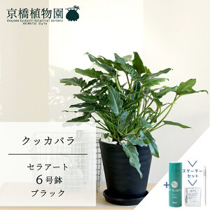 y30P5{IzyX^[^[ZbgtzNbJo@6 5GyZA[g@ubNzyTXeB[/SUSTEE/[tN/IB̃`J/ϗtA/CeA//i`/A/