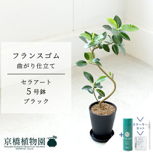 yX^[^[ZbgtzyZA[g^ubNztXS@Ȃ@5y󂯎Mtzy󂯎MtzyX[TCY tBJX ϗtA CeA  lC j 