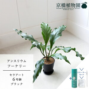 yX^[^[ZbgtzyZA[g^ubNzAXEEt[P[@6y󂯎MtzyTXeB[/SUSTEE/[tN/IB̃`J ~hTCY ϗtA A u _ C