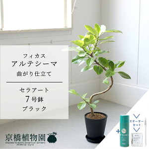 yX^[^[ZbgtzyZA[g^ubN ztBJXEAeV[}@Ȃ@7y󂯎MtzyTXeB[/SUSTEE/[tN/IB̃`J ~hTCY ϗtA A C