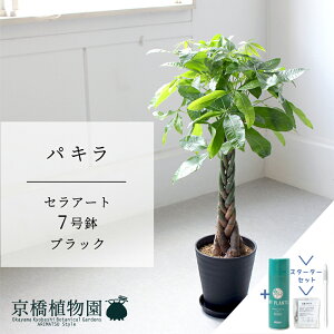 yX^[^[ZbgtzyZA[g^ubN zpL@7y󂯎MtzyTXeB[/SUSTEE/[tN/IB̃`J ~hTCY ϗtA A CeA  lC j