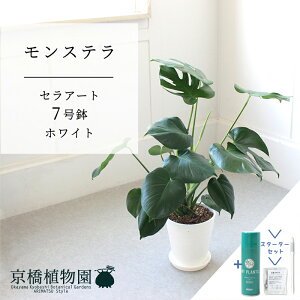 y1P7{zyX^[^[ZbgtzyZA[g^zCg zXe@7y󂯎MtzyTXeB[/SUSTEE/[tN/IB̃`J ~hTCY ϗtA A u _ C