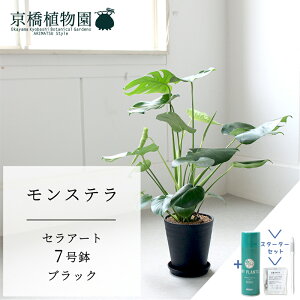 yX^[^[ZbgtzyZA[g^ubN zXe@7y󂯎MtzyTXeB[/SUSTEE/[tN/IB̃`J/~hTCY ϗtA A CeA  lC 