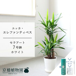 yX^[^[ZbgtzyZA[g^zCg zbJEGt@eByX@N̖؁@7y󂯎MtzyTXeB[/SUSTEE/[tN/IB̃`J ~hTCY ϗtA A