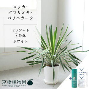 yX^[^[ZbgtzyZA[g^zCg zbJEOITEoGK[^@7y󂯎MtzyTXeB[/SUSTEE/[tN/IB̃`J ~hTCY ϗtA A C