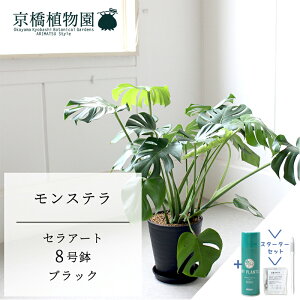 yX^[^[ZbgtzyZA[g^ubN zXe@8y󂯎MtzyTXeB[/SUSTEE/[tN/IB̃`J/~hTCY ϗtA A CeA  lC 