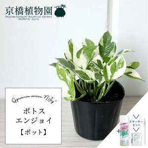 y25P5{IzyubNtCf[N[|LIzyX^[^[Zbgtzy|bgz|gXEGWCyX[TCYzyTXeB[/SUSTEE/[tN/IB̃`Jz