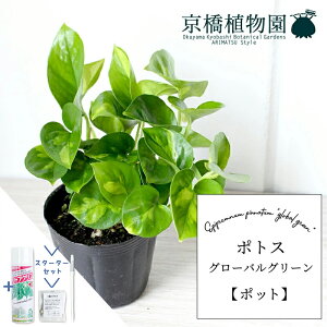 y25P5{IzyubNtCf[N[|LIzyX^[^[Zbgtzy|bgz|gXEO[oO[yX[TCYzyTXeB[/SUSTEE/[tN/IB̃`Jz