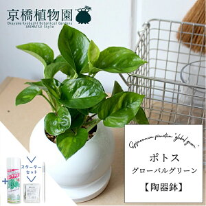 y25P5{IzyubNtCf[N[|LIzyX^[^[Zbgtz|gXEO[oO[y픫/󂯎MtzyX[TCY/h}Cg//zCg/TXeB[/SUSTEE