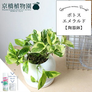 y30P5{IzyX^[^[Zbgtz|gXEGhy픫/󂯎MtzyX[TCY/h}Cg//zCg/TXeB[/SUSTEE/[tN/IB̃`Jz