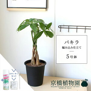 y25P5{IzyubNtCf[N[|LIzyX^[^[ZbgtzpL ҂ݍݎd 5 yX[TCY//ubN/TXeB[/SUSTEE/[tN/IB̃`Jz