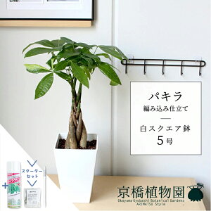 y25P5{IzyubNtCf[N[|LIzyX^[^[ZbgtzpL ҂ݍݎd 5 XNGAyX[TCY//zCg/p/TXeB[/SUSTEE/[tN/IB