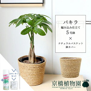 y25P5{IzyubNtCf[N[|LIzyX^[^[ZbgtzpL ҂ݍݎd 5yi`oXPbgJo[tzyX[TCY/󂯎Mt/TXeB[/SUS