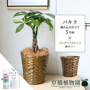 y1P7{IzyX^[^[ZbgtzpL ҂ݍݎd 5you[oXPbgJo[tzyX[TCY/󂯎Mt/TXeB[/SUSTEE/[tN/IB̃`Jz