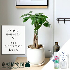 y25P5{IzyubNtCf[N[|LIzyX^[^[ZbgtzpL ҂ݍݎdāyXeEhLTCYFzCgzyX[TCY/󂯎Mt/픫/A//