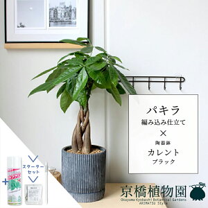 yX^[^[ZbgtzpL ҂ݍݎdāyJg/ubNzyX[TCY/󂯎Mt/픫/A//ubN/~[~/TXeB[/SUSTEE/[tN/IB̃`Jz5G