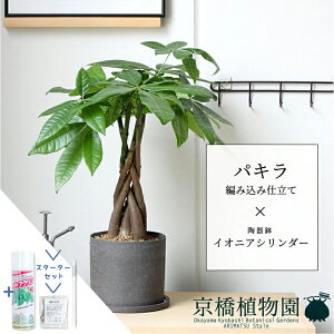 yX^[^[ZbgtzpL ҂ݍݎdāyCIjAV_[zyX[TCY/󂯎Mt/픫/A//O[/ubN/~[~/TXeB[/SUSTEE/[tN/IB̃`