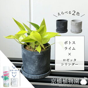 y5P5{IzySSN[|zySSizyX^[^[ZbgtzyׂJ[z|gXEC×[b^V_[y󂯎MtzyzCg/ubN///Zg/^/