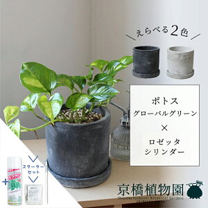 y1P7{IzyX^[^[ZbgtzyׂJ[z|gXEO[oO[×[b^V_[y󂯎MtzyzCg/ubN///Zg/^/X[TCY/