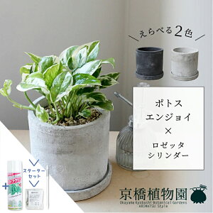 y5P5{IzySSN[|zySSizyX^[^[ZbgtzyׂJ[z|gXEGWC×[b^V_[y󂯎MtzyzCg/ubN///Zg/