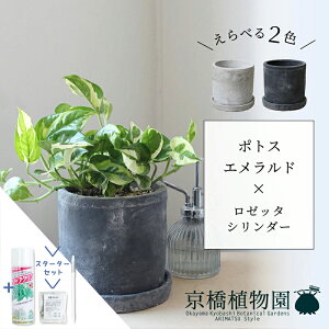 y5P5{IzySSN[|zyX^[^[ZbgtzyׂJ[z|gXEGh×[b^V_[y󂯎MtzyzCg/ubN///Zg/^/X[