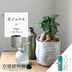 y30P5{Izy}\N[|LzyX^[^[ZbgtzKW}ynsOCzyTXeB[/SUSTEE/[tN/IB̃`J/X[TCY/󂯎Mt/픫/A//O[/