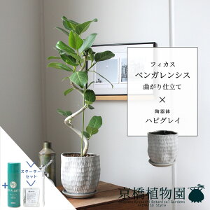 y}\N[|LzyX^[^[ZbgtztBJXExKVX@ȂynsOCzyTXeB[/SUSTEE/[tN/IB̃`J/X[TCY/󂯎Mt/픫/A/